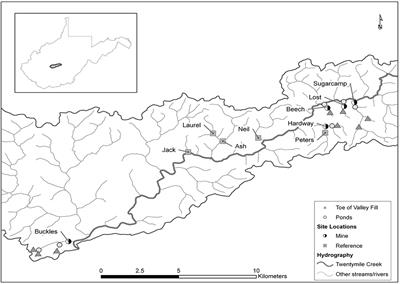 Mountaintop removal coal mining impacts on structural and functional indicators in Central Appalachian streams